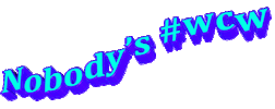 nobodys wcw Sticker