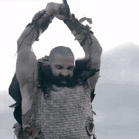 TheBeardStruggle brand beard viking tbs GIF