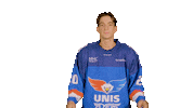 Ice Hockey Sport Sticker by UNIS Flyers