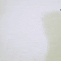 Premier League Dance GIF by Burnley Football Club