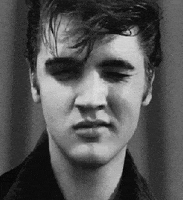 elvis presley GIF