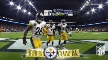 Pittsburgh Steelers Football GIF by NFL