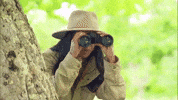 Spying Season 6 GIF by Bachelor in Paradise