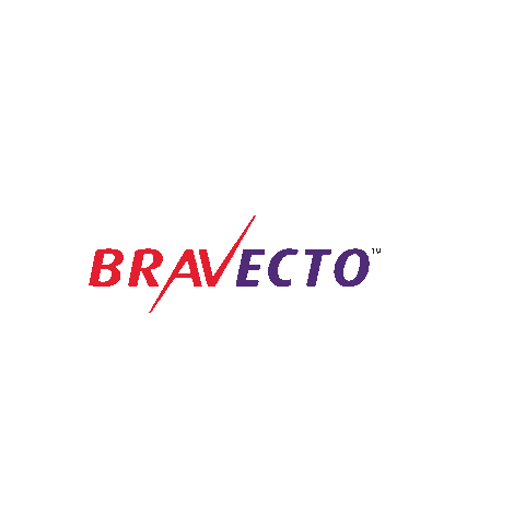 msdfamiliapet giphyupload bravecto Sticker