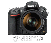Nikon Sabbysg Sticker by NikonIndia