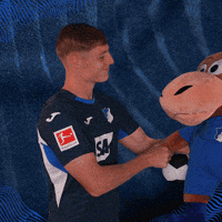 Sport Bundesliga GIF by TSG Hoffenheim