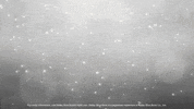 GIF by Central Coast Honda Dealers