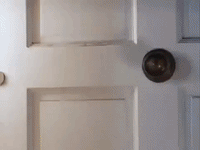 GIF by TVP.PL