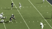 Celebrate Rice University GIF by Rice Owls