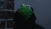 Kermit Mean GIF
