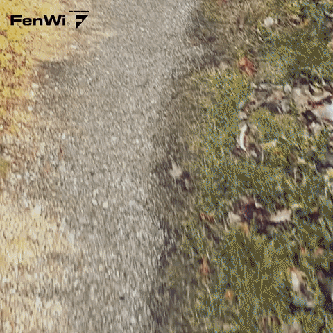 FenWi  GIF