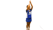 College Sports Fun Sticker by Delaware Blue Hens