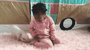 pig GIF