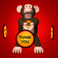 Thanks Thank You GIF