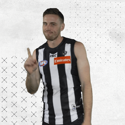 GIF by CollingwoodFC