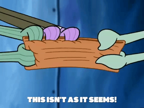 season 5 GIF by SpongeBob SquarePants