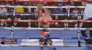 toprank boxing fighting champion espn GIF