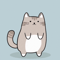 Cat Scanning GIF by MESA My Emotional Support Animal
