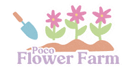 Flower Farm Sticker by Poco Posy