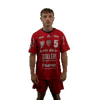 Handball Sticker by DAIKIN HBL