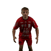Handball Sticker by DAIKIN HBL