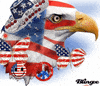 Picture Merica GIF