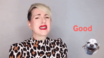 Not Going To Happen Good Luck With That GIF by Truly.