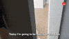 Dogs International Dog Day GIF by BuzzFeed