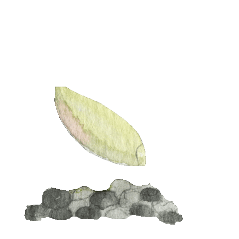Home Plant Sticker