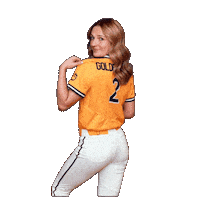Softball Sticker by WVU Tech Golden Bears