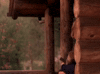 season 1 episode 6 GIF by Twin Peaks on Showtime