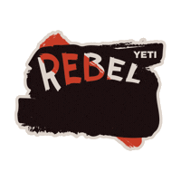 grilling bbq sauce Sticker by YETI