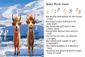Animated Cards GIF