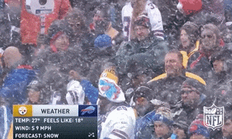 Freezing Pittsburgh Steelers GIF by NFL