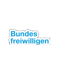 Bfd Sticker by DiakonieSachsen