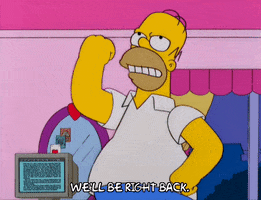 homer simpson episode 3 GIF