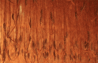 party 3d GIF by hateplow