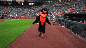 Come At Me Major League Baseball GIF by MLB