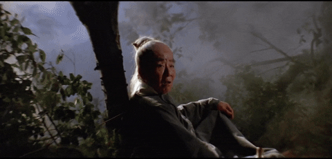 martial arts the perils of the sentimental swordsman GIF by Shaw Brothers