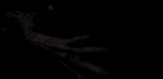 stranger things monster GIF by Refinery 29 GIFs