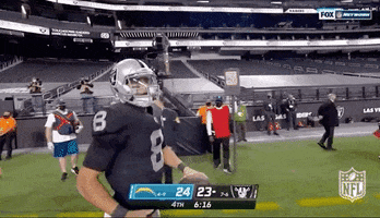 Regular Season Football GIF by NFL