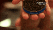 you deserve it GIF by Petrossian