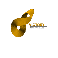 Vlr Sticker by Victory Linked Realty