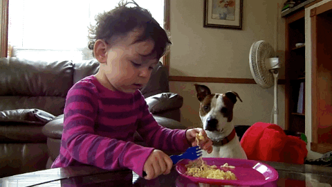 americas funniest home videos GIF by AFV Babies