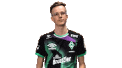Fifa Ea Sticker by SV Werder Bremen