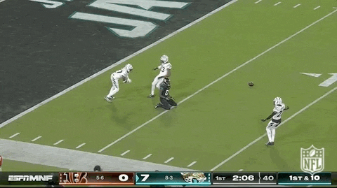 National Football League GIF by NFL