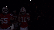 Football Nfl GIF by New England Patriots