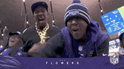 National Football League GIF by NFL