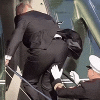 Donald Trump GIF by Respective