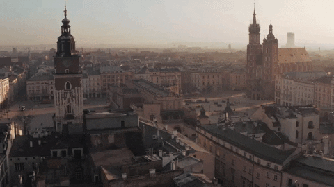 irenapamula giphyupload GIF